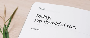 某公司官网开发